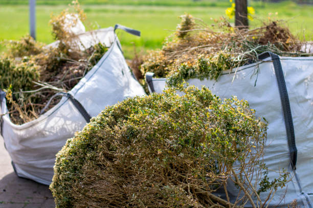 Best Electronics and E-Waste Disposal  in Bonney Lake, WA